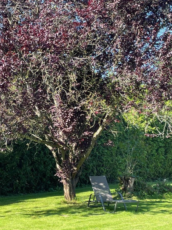 B&B Haus Kristal Walsdorf  Kültér fotó