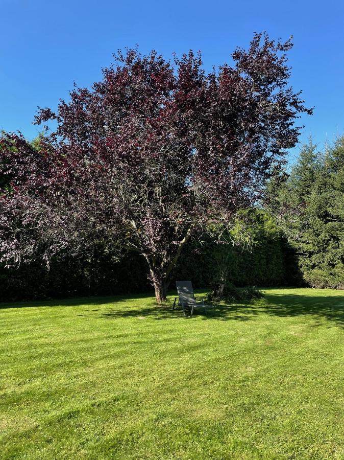 B&B Haus Kristal Walsdorf  Kültér fotó